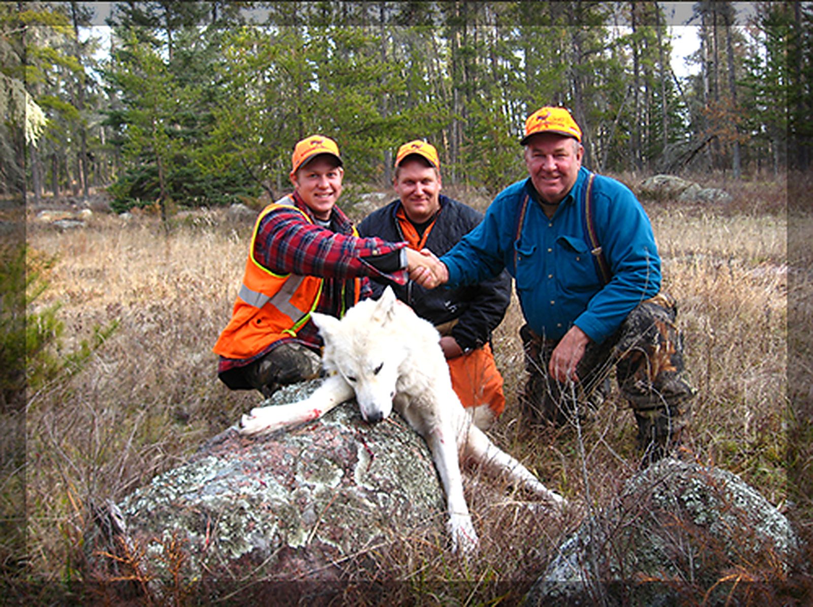 Wolf Hunt at Whiteshell Outfitters